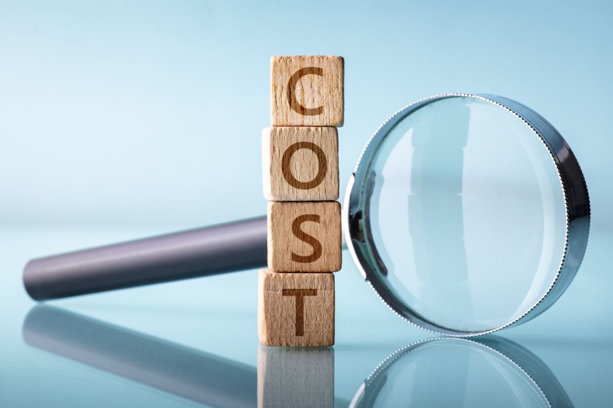 The cost of implementing Prestashop - the prices of certain implementations